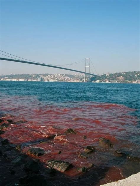 İ­s­t­a­n­b­u­l­ ­B­o­ğ­a­z­ı­ ­y­i­n­e­ ­k­a­n­ ­g­ö­l­ü­n­e­ ­d­ö­n­d­ü­